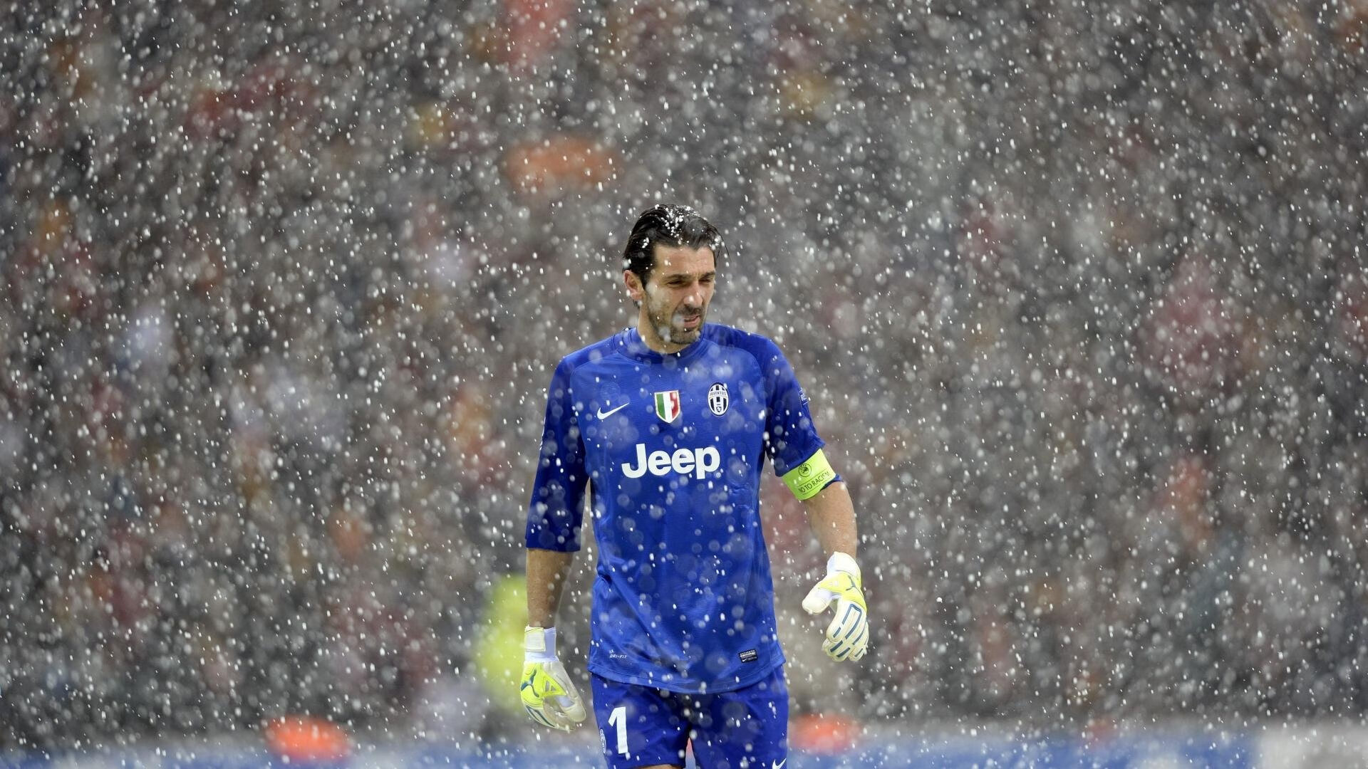 世界杯后：多国图书馆推出“足球与社会”书单 推荐阅读量大增